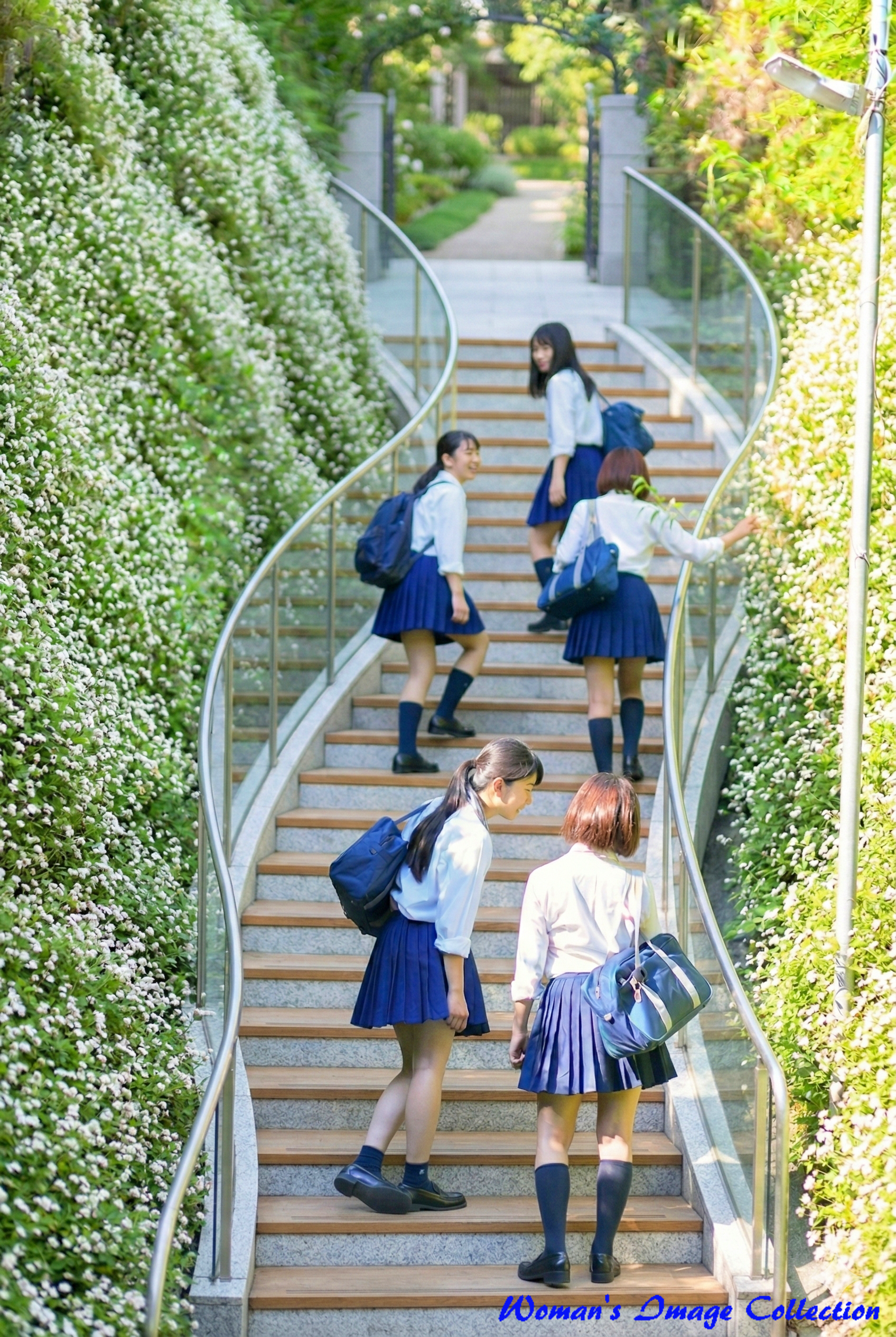 白い花が咲く生垣に沿ったモダンなカーブ階段を、爽やかな光を浴びて登る夏の制服の女子高生たち(超リアルな写真スタイル、Gemini生成)